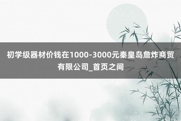 初学级器材价钱在1000-3000元秦皇岛詹炸商贸有限公司_首页之间